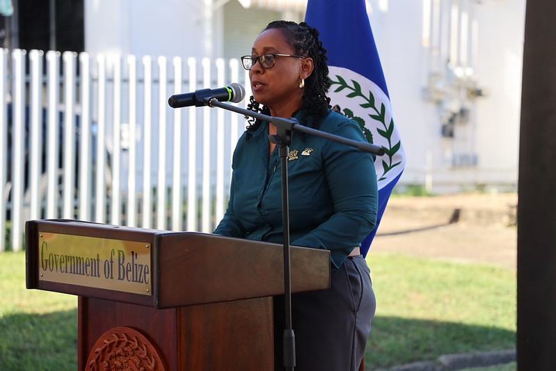 54811558862_895145fec7_c