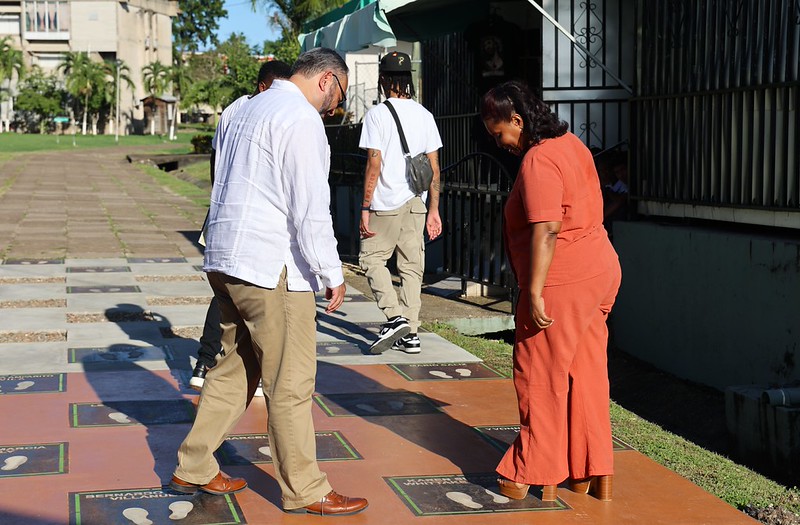 54812404541_b7586ccd19_c